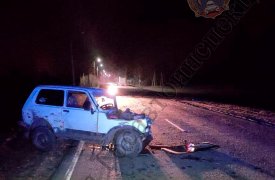 В Кимовском районе пьяный водитель на «Ниве» вылетел на встречку: один человек пострадал