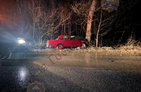 В Алексине ВАЗ врезался в дерево: два человека пострадали