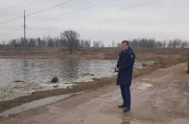 В Ясногорске началась прокурорская проверка по факту гибели рыбы в городском пруду