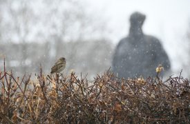 В ближайшие выходные в Туле резко похолодает из-за циклона