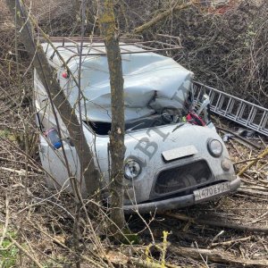 В Тульской области водитель внедорожника погиб, врезавшись в дерево