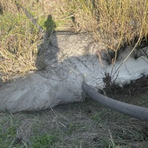 В Куркинском районе Тульской области прокуратура начала проверку после гибели рыбы