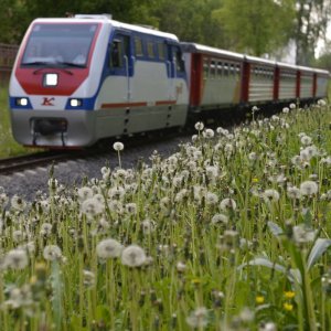 19 мая в Новомосковске Тульской области извлекут капсулу времени