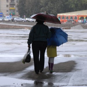 27 мая в Тульской области будет дождливо