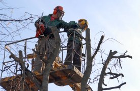 В Туле на 3 дня ограничат движение на улице Кутузова