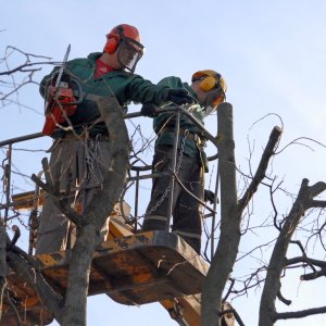 В Туле на 3 дня ограничат движение на улице Кутузова