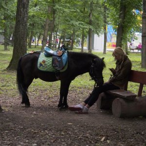 4 июня в Туле будет облачная погода без дождей, до +24 градусов