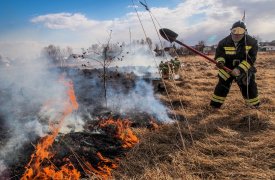 В Тульской области с 23 августа вводят особый противопожарный режим