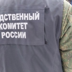 Региональный Следком организовал проверку по факту гибели двух человек на пожаре в Донском