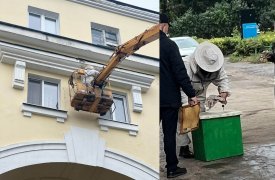 Пчелиный рой на одном из домов в Новомосковске Тульской области спасен