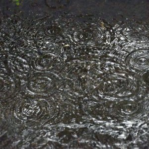 В Тульской области ожидается сильный дождь: метеопредупреждение