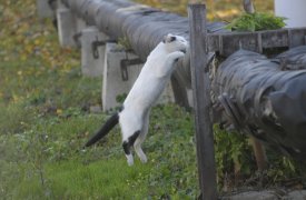 9 октября в Тульской области ожидается облачная с прояснениями погода