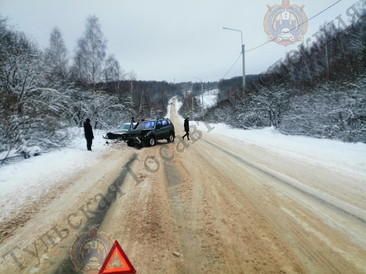 24-летняя девушка пострадала в ДТП под Алексином | 20.12.2022 | Тула -  БезФормата