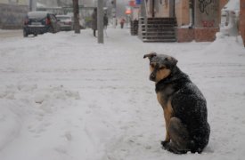 Прогноз погоды в Туле на 14 января: в регион приходит теплый фронт фоздуха