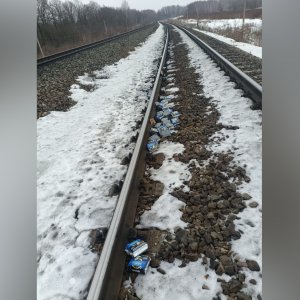 В Тульской области двое мужчин на ходу обокрали грузовой поезд