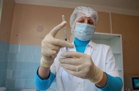 За прошедшую неделю в Тульской области коронавирусом заболели 33 человека