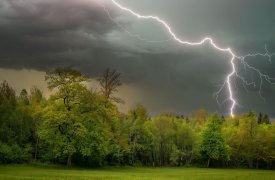 Гроза и сильный ветер: в Тульской области объявлено метеопредупреждение