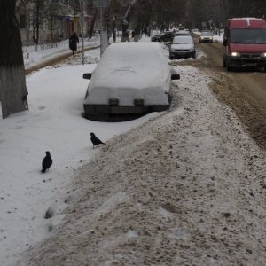 Прогноз погоды в Тульской области на 11 февраля: потепление и снег