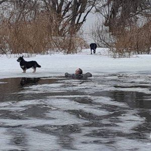 В Тульской области мужчина провалился под лед реки Оки при спасении собаки