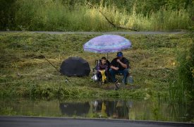 Прогноз погоды на 14 июля в Тульской области