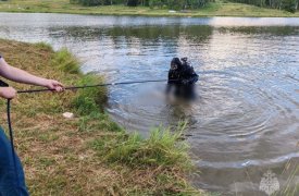 20 человек утонули в Тульской области с начала купального сезона 