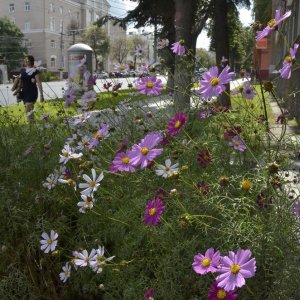 Прогноз погоды на 15 сентября в Тульской области