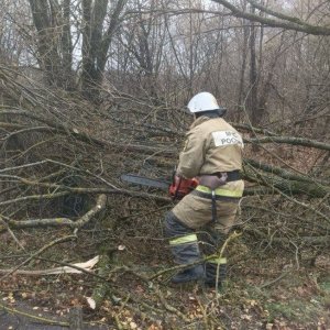 Мощный циклон в Тульской области повалил 70 деревьев и повредил автомобили