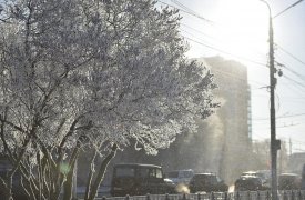 Прогноз погоды на 1 декабря в Тульской области