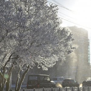 Прогноз погоды на 1 декабря в Тульской области