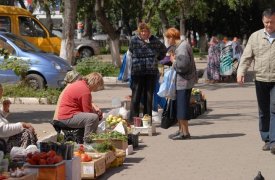 Самыми подорожавшими товарами в Тульской области в 2024 году оказались картофель, капуста и морковь 