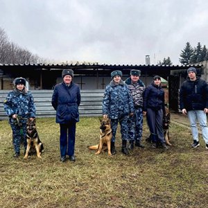 Тульские кинологи УФСИН передали щенков рязанским коллегам