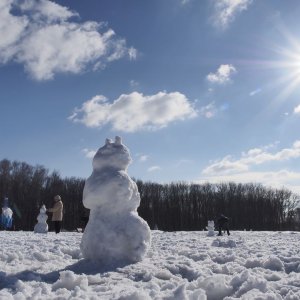 В Тульской области 19 февраля прибавится снега