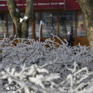 Крепкие холода не собираются покидать Тульскую область