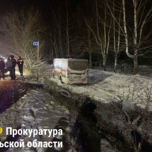 Автобус улетел в кювет в селе Частое Тульской области