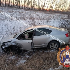 Volkswagen помяло после жесткой «посадки» в кусты под Богородицком Тульской области