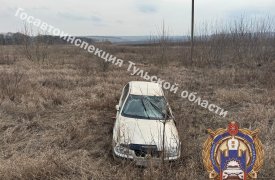 Девушка с младенцем пострадали в ДТП в Киреевском районе Тульской области