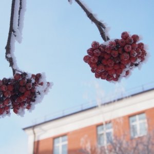 Прогноз погоды на 16 марта в Тульской области