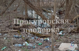 Прокуратура нашла несанкционированную свалку в Щекинском районе Тульской области