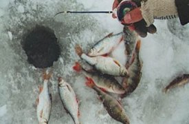 1 февраля туляков приглашают на соревнования рыболовов-любителей