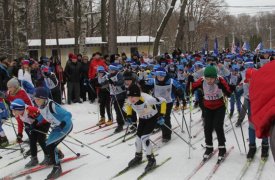 3000 туляков пробежали на лыжах в центральном парке