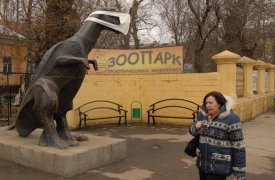 Заболеваемость в Туле гриппом и ОРВИ медленно снижается