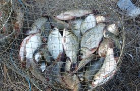 На тульских водоемах ограничена рыбалка и плаванье на маломерных судах
