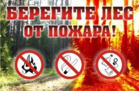 В Тульской области объявлен пожароопасный период