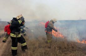 Даже в дождливую погоду тульские пожарные выезжают тушить горящую траву