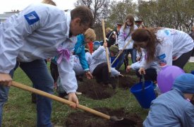 У площади Побдеы в Туле высадили аллею сирени