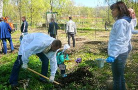 В Туле и области пройдет акция «Кислород городам!»