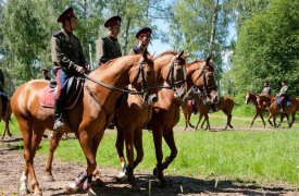 Тульской полиции в охране правопорядка будут помогать казаки