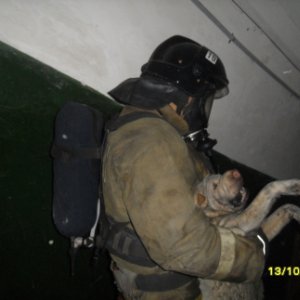 Пожарные спасли туляка и его собаку
