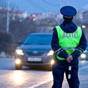 Жительница Тульской области заплатит штраф за причинение боли инспектору ИДПС