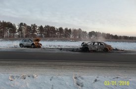 Под Тулой при лобовом столкновении Renault и Volkswagen пострадали 5 человек